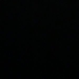 Meet your Posher, Jackson